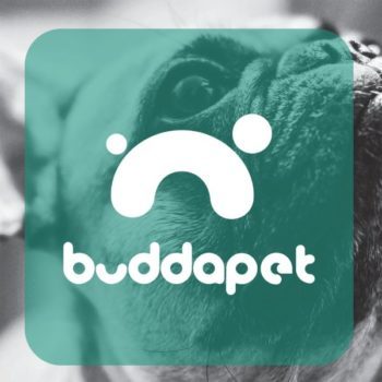 About Buddababy