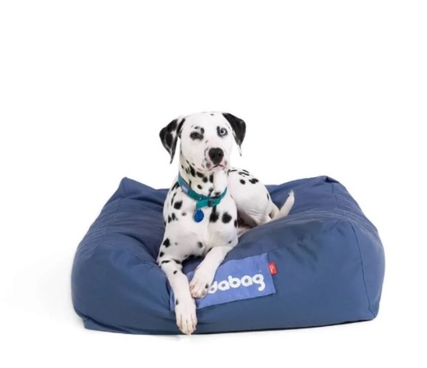 memory foam pet bed